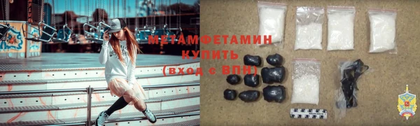 стаф Осинники