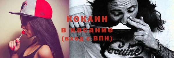 стаф Осинники