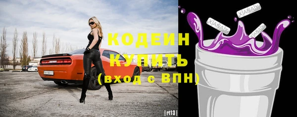шишки Абаза