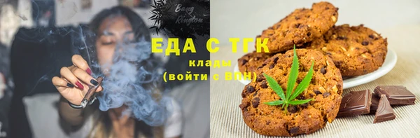 стаф Осинники