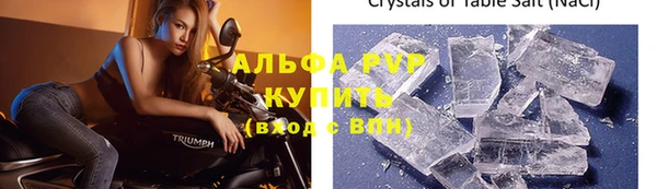 стаф Осинники