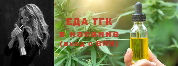 стаф Осинники