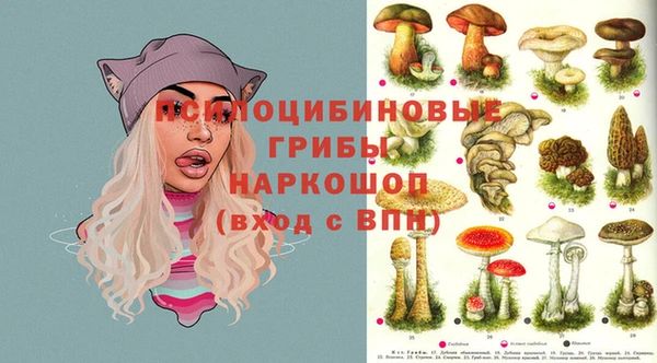 каннабис Осташков