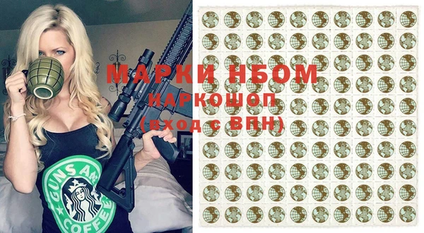 стаф Осинники
